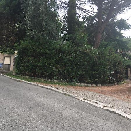 Le Cannet 10Mn Cannes Chambre Independante Etage D'Une Maison Avec Piscine Kültér fotó